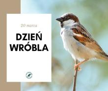 Dzień Wróbla