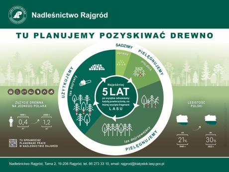 Informacje o pracach prowadzonych w Nadleśnictwie Rajgród